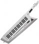 Roland AX-Edge Keytar